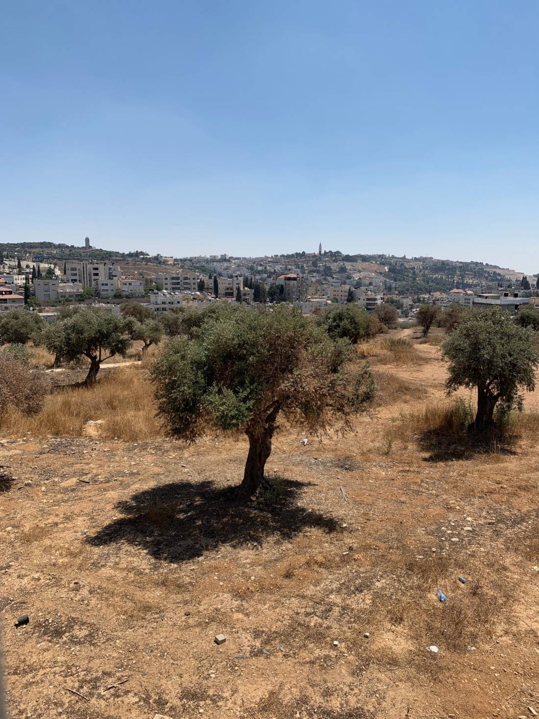 Science Museum interion for Slide show and host org page